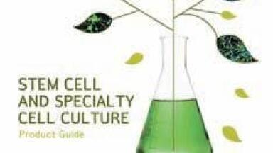 New Stem Cell Catalogue