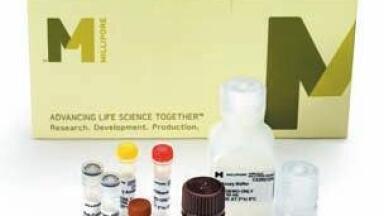 New Magnetic Bead Multiplex Assays