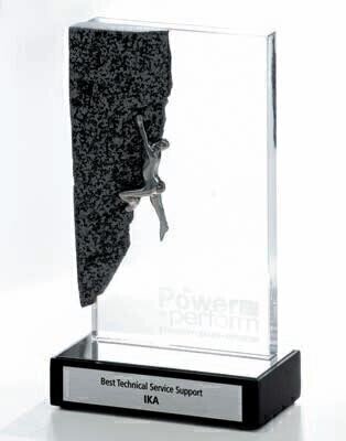 Best Technical Service Support 2009