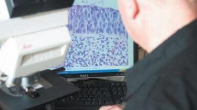 West Suffolk Hospital Benefits from Diagnostic Reporting Service