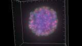 Imaging System at the Heart Of Cancer Cell Research