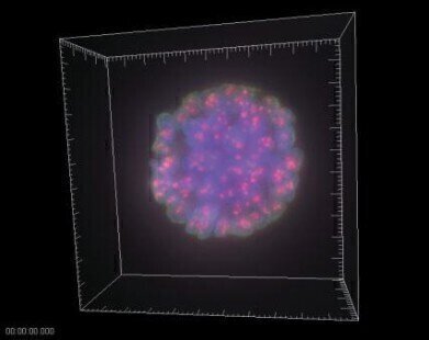Imaging System at the Heart Of Cancer Cell Research