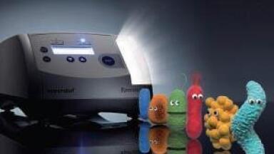 Electroporation for Safe, Highly Efficient Transformation
