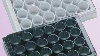 High Volume Microplate for Sensitive Photometric Assays