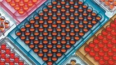 Testing the Role of Microplate Contamination in Elevated Solvent Boiling