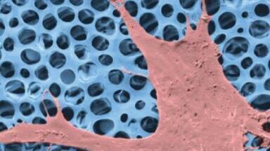 Multiple diagnostic solutions assist Swansea University’s Centre for NanoHealth