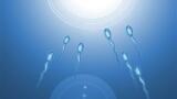 Launch of Ready-to-Use Ninhydrin Formulation for Ion Exchange Chromatography Systems