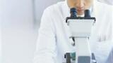 Availability of Rmc Family of Microtomes for Sample Preparation is Announced