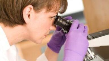 LED Illumination Products Fit to most Microscopes