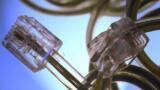 Web Cast for Pharmaceutical Laboratories is Announced