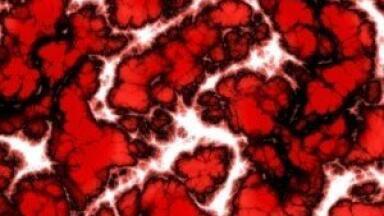 Expansion of Product Range with Sensoplate? Plus