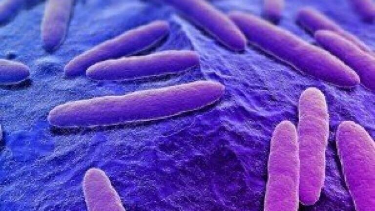 Medical biotechnology sector grows despite economic downturn
