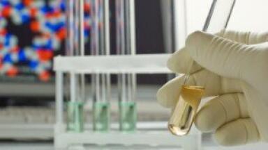 A New Small Volume Accessory for La-950 Particle Size Analyser