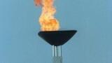 New Insulin Pen Designed for Diabetic Cats and Dogs