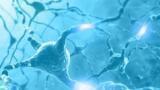 New Tests Ensure Hydrasys Remains a Favourite for Clinical Laboratories