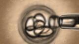 Analysis Indicates Test has ability to Detect All Published Virus Strains