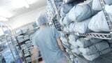 Trade Mission to Russia a success