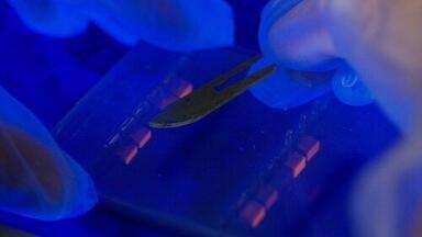 Reduce the Strain from Pipetting with New Ezject Pipette Tips