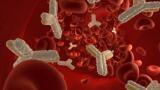 BBSRC Strategic Review - Bioimaging in the UK