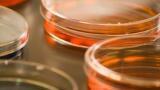 Animal Replacement Science 2014 – November 27, London