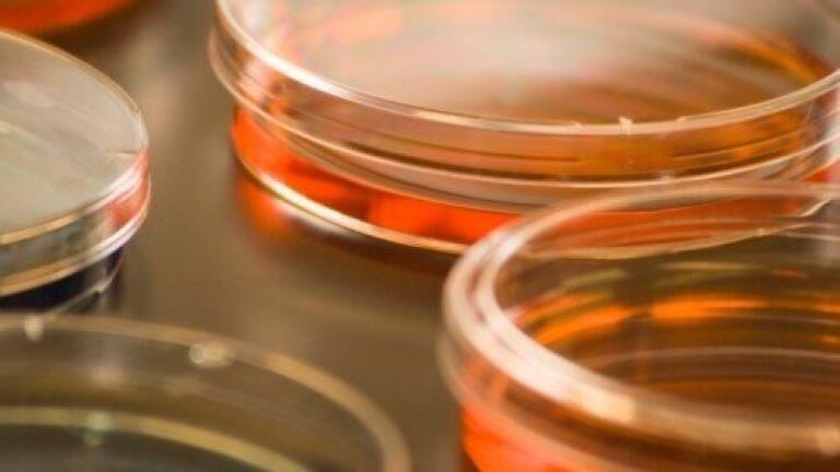 Primary teachers 'need help to become scientists'
