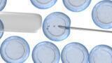 The Evolution of Mercury Analysers