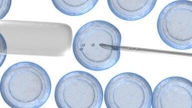 New Microarray Scanner Now Available?