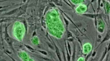 Intelligent Design Makes Automated Chemistry Affordable